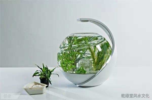 1558929405857546.jpg 7