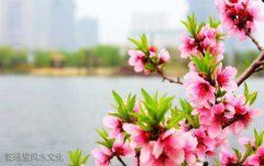 重庆知名风水师穆六垚讲解怎样的风水布局有利于夫妻感情