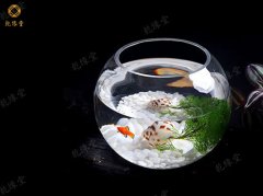 详解:客厅养金鱼的风水