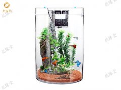 鱼缸摆放风水的学问有多少