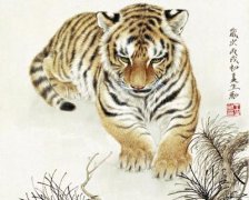 高层住宅风水与生肖的关系?