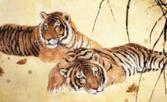 属虎客厅放什么花好？