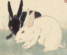 买房风水之属兔人买房不宜买