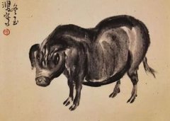 店铺生肖讲究:属猪和属蛇的合财吗？