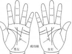 哪些手相的人擅于经商？