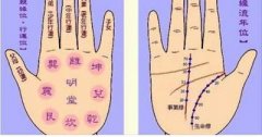 哪些手相适合商界事业能成功呢？[