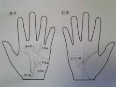 能享子女福的手相有什么特征？