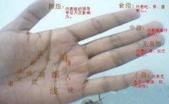掌纹的秘密你知多少？掌纹是否有秘密