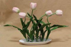 庭养花的风水富贵竹有什么风水作用？