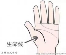 婚姻线与生命线相交的寓意不吉利吗？