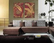 猴年风水，转运你该如何调理？