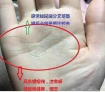 婚姻美满的手相什么特征？