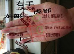 有官运的手相如何看一生有官运？