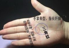 心思最恶毒的人是什么手相