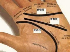 手相:手指漏财怎么办?