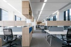 办公室植物怎么摆旺事业运？