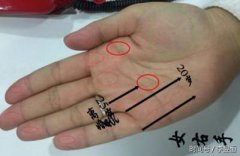 女人右手手相算命