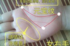 相术知识:旺夫的女人手相怎么看？