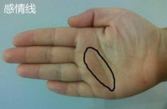 什么手相的女人最旺夫？