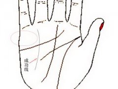 从手相看适合你的理财方法