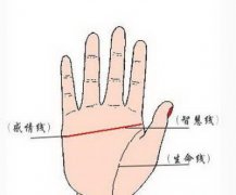 福气相会是什么特征？