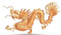 女人也主外，女人的事业线怎样算好？