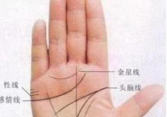 啥手相的女人事业能成功手相大全