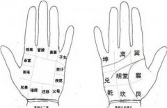 事业型女人的手相是什么样的？