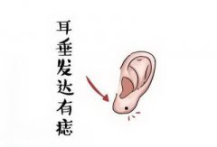 面部纹理有大讲究：看面相直接反映一个人的命运是否顺利