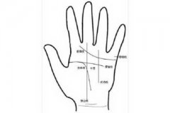 手掌中的辅助纹线:反抗纹。