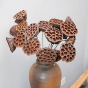 爱情风水的讲究禁忌