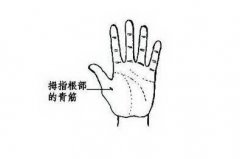 事业会经历转型能平稳过渡的面相