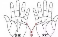 全面手相活力线图解