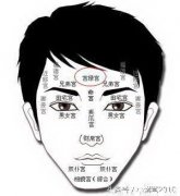 啥面相的男人最会赚钱手相大全