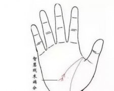 女人感情不顺手相怎么看感情线分叉