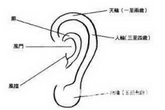 啥面相的女人脾气不好面相大全