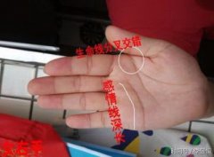 v如何解释感情线断裂
