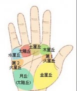 千年一遇的富贵手相特征