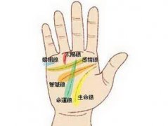 哪些手相是富贵命必无疑