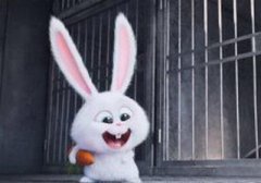 买房风水:属兔人买房不宜买东户型