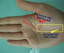 天生有没有发财的手相？