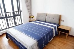 家居植物风水:植物摆放风水禁忌