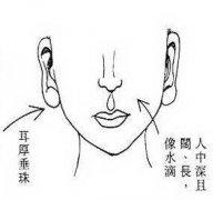 官场商场都如意的女人面相解析