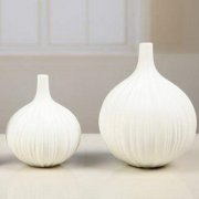 爱茶者须知:养茶宠有什么讲究