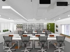 十二生肖办公室风水:办公室财位放什么好？