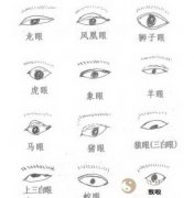 丹凤眼究竟是啥样？