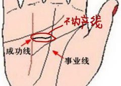 女人手相没有事业线好吗？