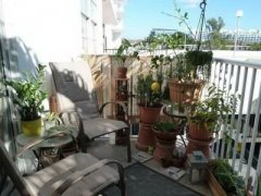 阳台养花要注意哪些风水？