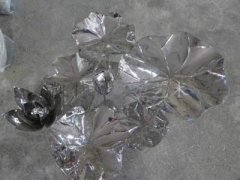 吃乌龟有什么风水禁忌