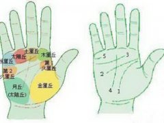 适合做明星的手相